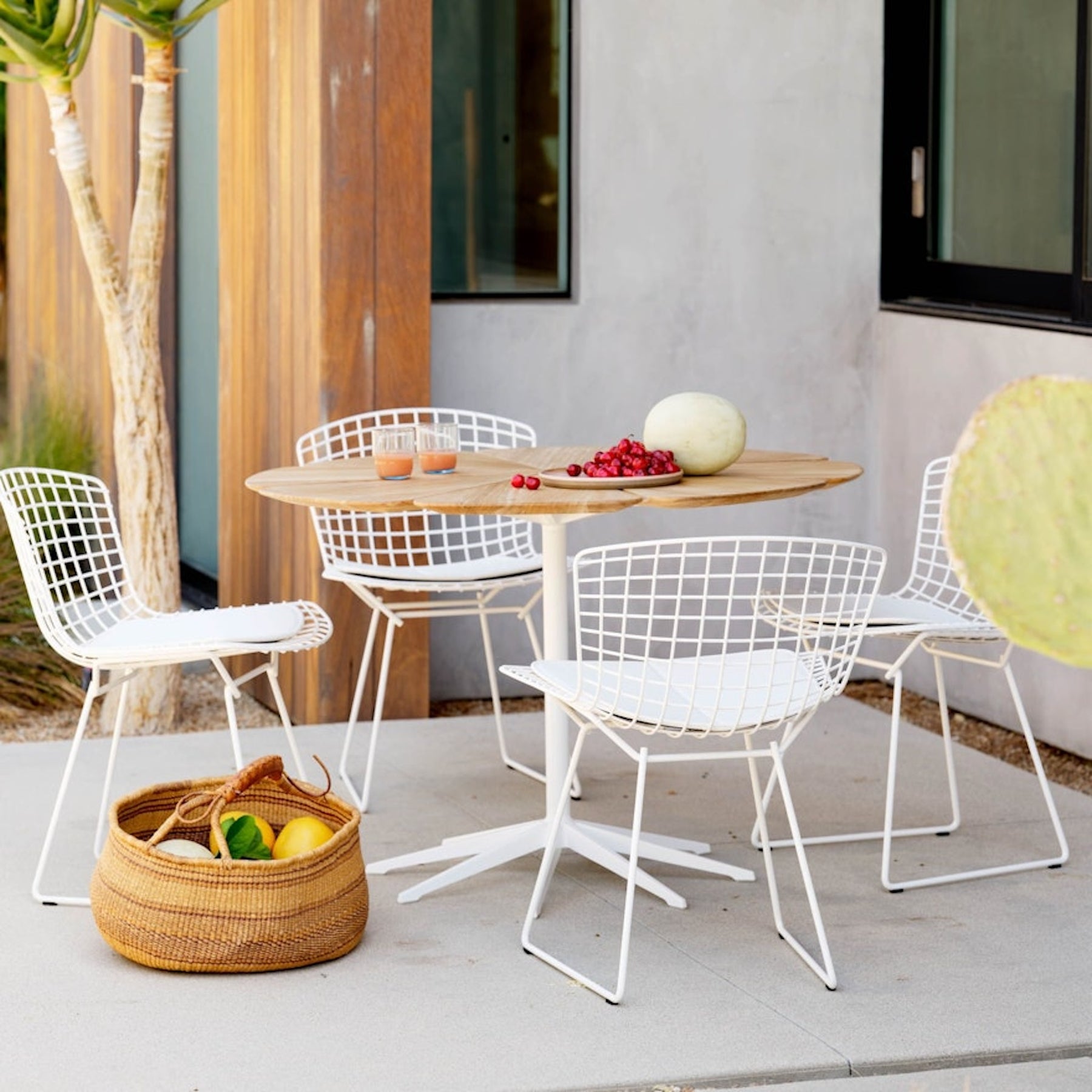 Knoll Richard Schultz Petal Dining Table with Bertoia Dining Chairs Outdoors