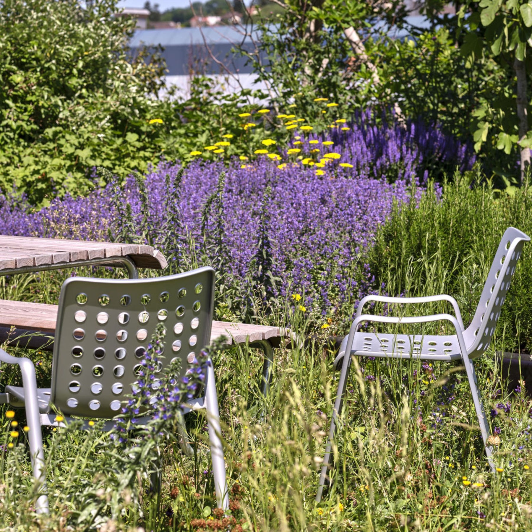 Vitra Landi Chairs by Hans Coray in Outdoor City Garden with Purple Flowers