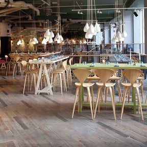 Cherner Bar Stools Natural Birch in Restaurant