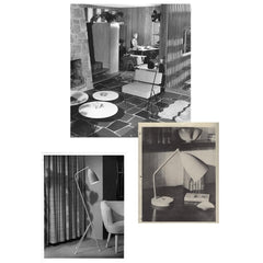 GUBI Greta Grossman Grasshopper Photo Montage
