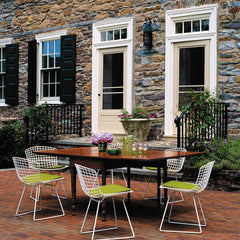 Harry Bertoia Side Chairs White Lime Cushions Stone House Outdoors Knoll