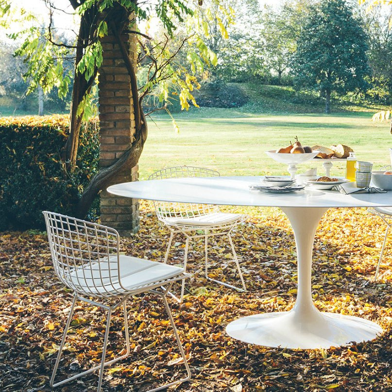 Harry Bertoia Side Chairs White Oval Tulip Dining Table Outdoors Knoll