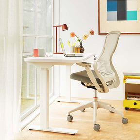 Knoll Regeneration Chair Light in Home Office