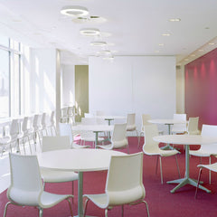 Marco Maran White Gigi Chairs Petal Tables Orchid Walls Knoll