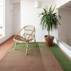 nanimarquina Haze 3 rug in room with plant