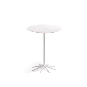 Knoll Richard Schultz Petal Table White Petals White Base