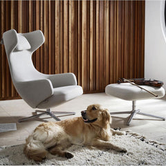 Vitra Grand Repos by Antonio Citterio in living room with Golden Retriever and Violin